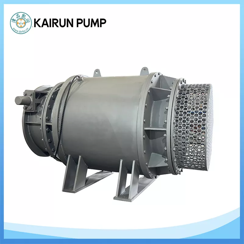 Điều gì khiến việc lựa chọn máy bơm hình ống trở nên quan trọng đối với các dự án nước có lưu lượng cao?